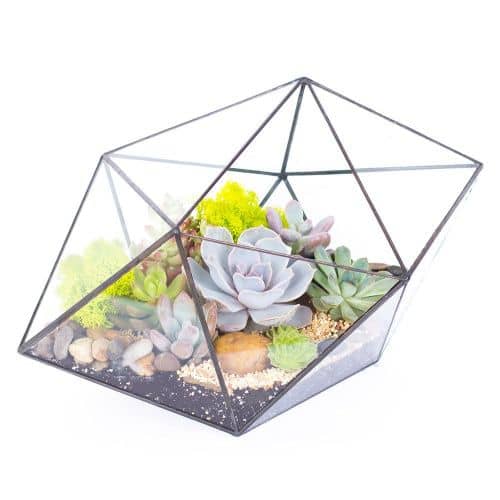 Купить Флорариум Levitera Кристалл по низкой цене