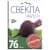 Купить Свекла Пабло 5 г по низкой цене