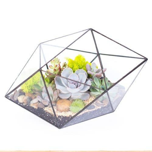 Купить Флорариум Levitera Кристалл по низкой цене