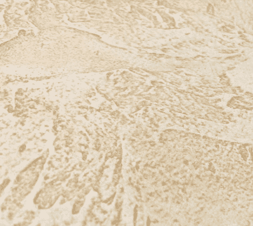 Купить Штукатурка Dessa Decor Стоун декоративная фактурная для коридора 15 кг по низкой цене