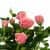 Купить Роза Luxury Plants Кордана розовая по низкой цене