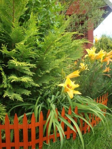 Купить Забор ГарденПласт Gotika №3 декоративный по низкой цене