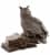 Купить Статуэтка Veronese Мудрый Филин WS-87/1 по низкой цене