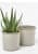 кашпо керамическое, m tuscany grey indoor pots collection burgon & ball Купить Кашпо керамическое, M Tuscany Grey Indoor Pots Collection Burgon & Ball по низкой цене