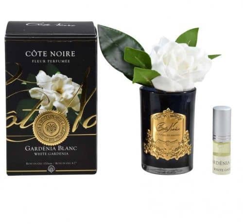 Купить Букет Cote Noire Бутон гардения ароматический, черное стекло по низкой цене