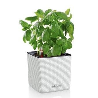 Купить Кашпо Lechuza Cube Color LS 35 см по низкой цене