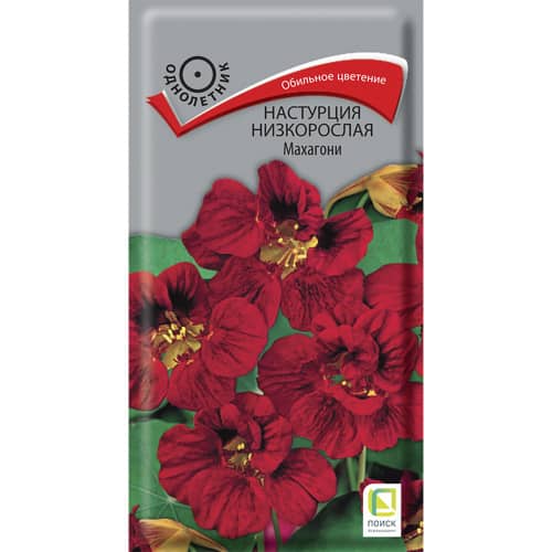 Купить Настурция низкорослая Махагони по низкой цене