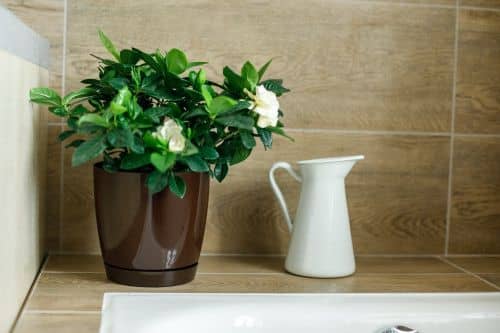 Купить Горшок ГарденПласт Фрезия 2 цветочный 3 л по низкой цене