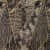 ткань galleria arben exclusive liscate warp _ke Купить Ткань Galleria Arben Exclusive LISCATE WARP _KE по низкой цене