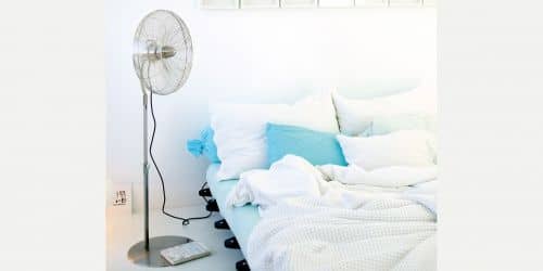 Купить Вентилятор Stadler Form Charly stand напольный по низкой цене