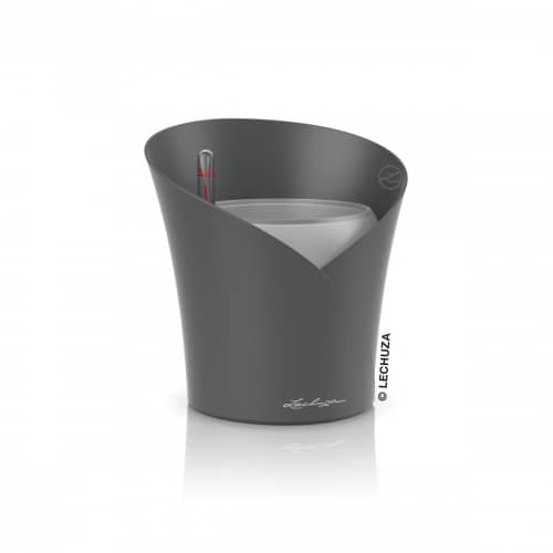 Купить Кашпо Lechuza Orchidea Complete slate matt 18х18х20 см по низкой цене