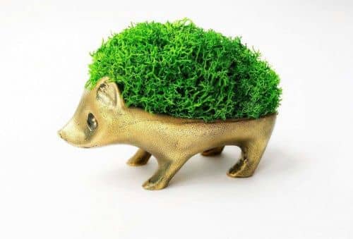 Купить Горшок BOXSAND Ежик по низкой цене