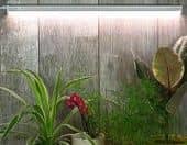 Купить Фитосветильник Luxury Plants светодиодный, 18 Вт по низкой цене