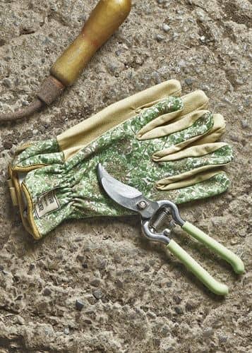 Купить Секатор «Жимолость» Honeysuckle by William Morris Briers по низкой цене