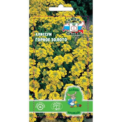 Купить Алиссум Горное золото 0,1 г Седек по низкой цене