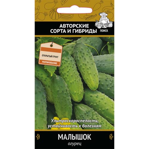 Купить Огурец Малышок А по низкой цене