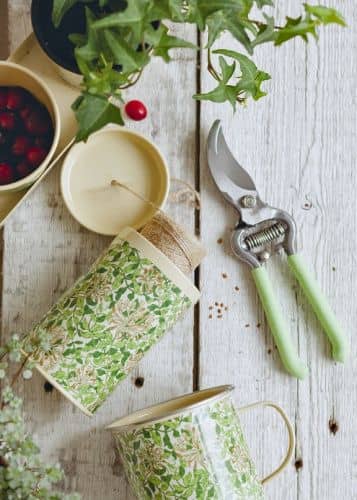 Купить Секатор «Жимолость» Honeysuckle by William Morris Briers по низкой цене