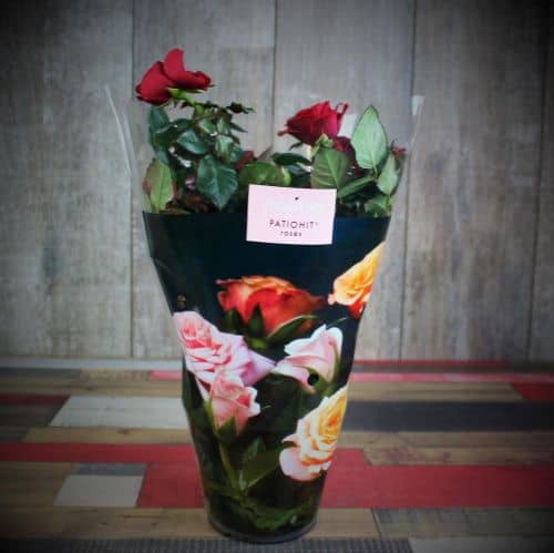 Купить Роза  Luxury Plants патио Аморе красная по низкой цене