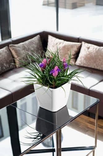 Купить Кашпо Lechuza Quadro LS 28 см по низкой цене