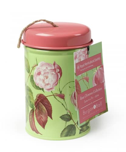 Купить Веревка Burgon & Ball Rosa Chinensis садовая в контейнере по низкой цене