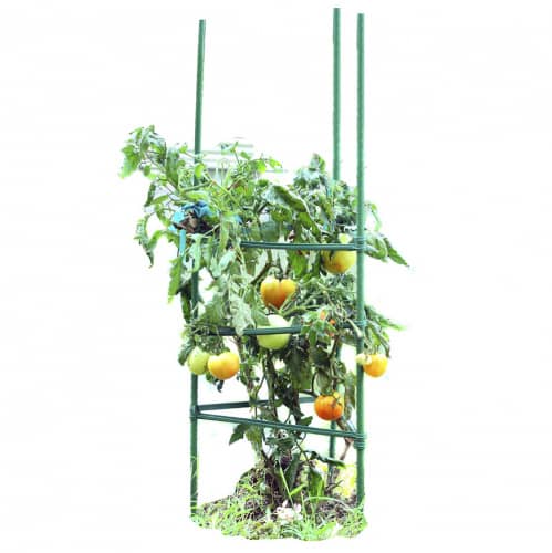 Купить Поддержка для растений 120 см по низкой цене