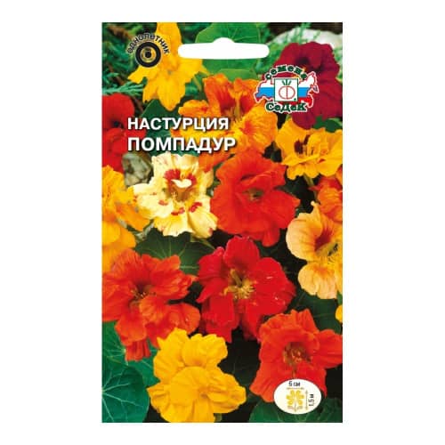 Купить Настурция Помпадур 1 г Седек по низкой цене