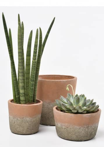 Купить Кашпо из терракоты Indoor Pots Collection Burgon & Ball по низкой цене