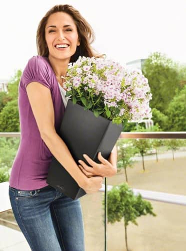 Купить Кашпо Lechuza Cubico Color 30 см по низкой цене