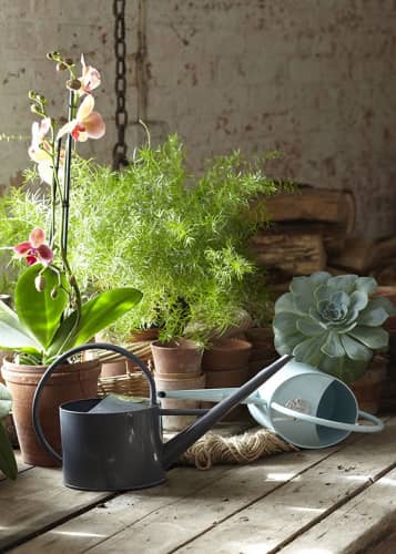 Купить Лейка для комнатных растений 1,7 л. Blue Sophie Conran Burgon & Ball по низкой цене
