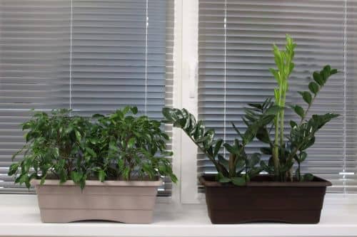 Купить Ящик ГарденПласт №1 балконный для цветов 6 л по низкой цене