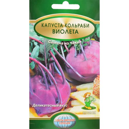 Купить Капуста кольраби Виолета по низкой цене