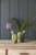 ваза burgon & ball s кактус indoor pots керамическая Купить Ваза Burgon & Ball S Кактус Indoor Pots керамическая по низкой цене