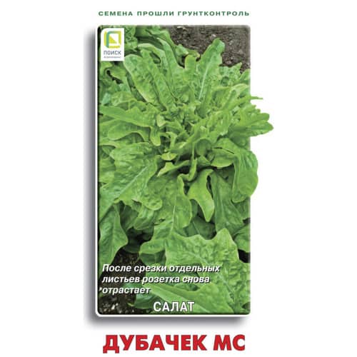 Купить Салат Дубачек МС по низкой цене