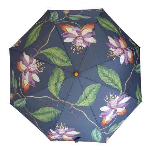 Купить Зонт Burgon & Ball Passiflora складной, механический по низкой цене