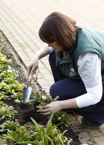 Купить Совок садовый Burgon & Ball по низкой цене