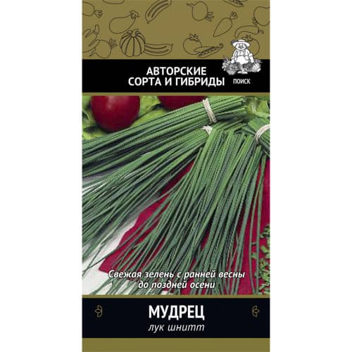 Купить Лук шнитт Мудрец по низкой цене