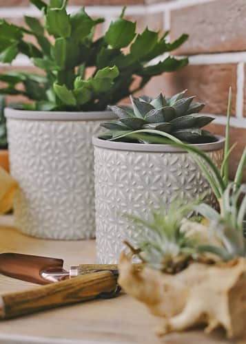 Купить Кашпо керамическое, M Tuscany Grey Indoor Pots Collection Burgon & Ball по низкой цене