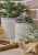 кашпо керамическое, m tuscany grey indoor pots collection burgon & ball Купить Кашпо керамическое, M Tuscany Grey Indoor Pots Collection Burgon & Ball по низкой цене
