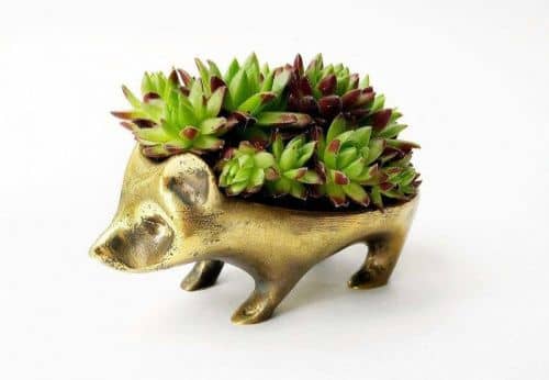 Купить Горшок BOXSAND Ежик по низкой цене