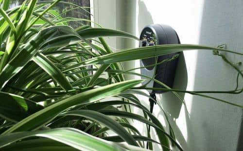 Купить Автополив BOXSAND таймер + насос для комнатных растений, серый по низкой цене