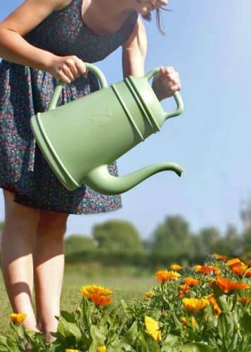 Купить Дизайнерская лейка для цветов 12 л. Lungo Old Green Xala по низкой цене