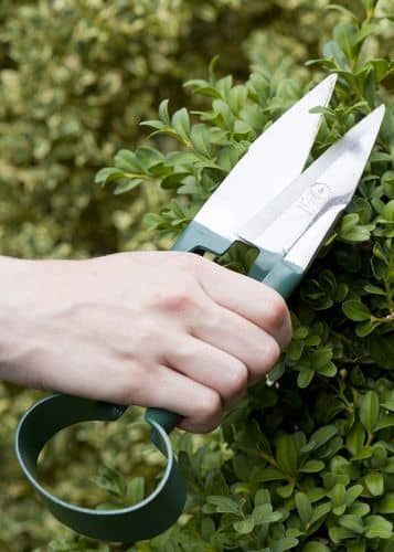 Купить Ножницы для стрижки кустов, S Burgon & Ball по низкой цене