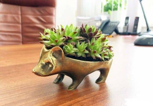 Купить Горшок BOXSAND Ежик по низкой цене