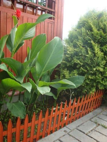 Купить Забор ГарденПласт Gotika №3 декоративный по низкой цене