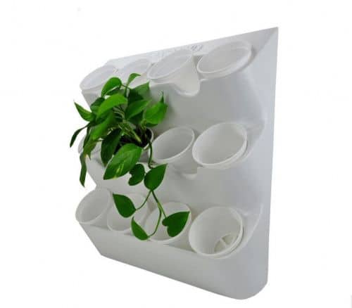 Купить Вертикальный сад BOXSAND фитомодули и фитокартины по низкой цене