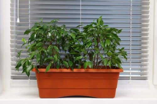 Купить Ящик ГарденПласт №1 балконный для цветов 6 л по низкой цене