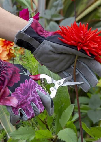 Купить Садовые ножницы с чехлом British Bloom в подарочной упаковке Burgon & Ball по низкой цене