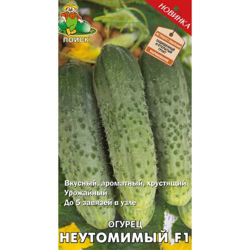 Купить Огурец Неутомимый F1 А по низкой цене