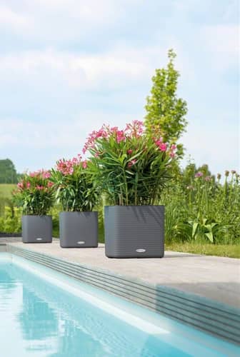 Купить Кашпо Lechuza Cube Color LS 35 см по низкой цене