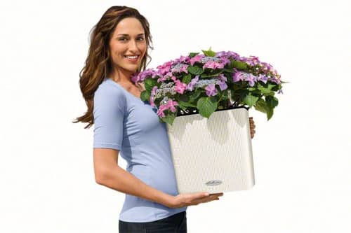 Купить Кашпо Lechuza Cube Color LS 35 см по низкой цене